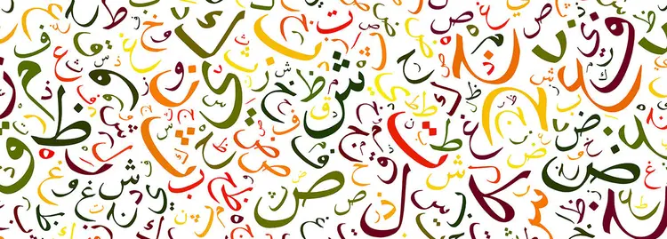 history of saraiki language